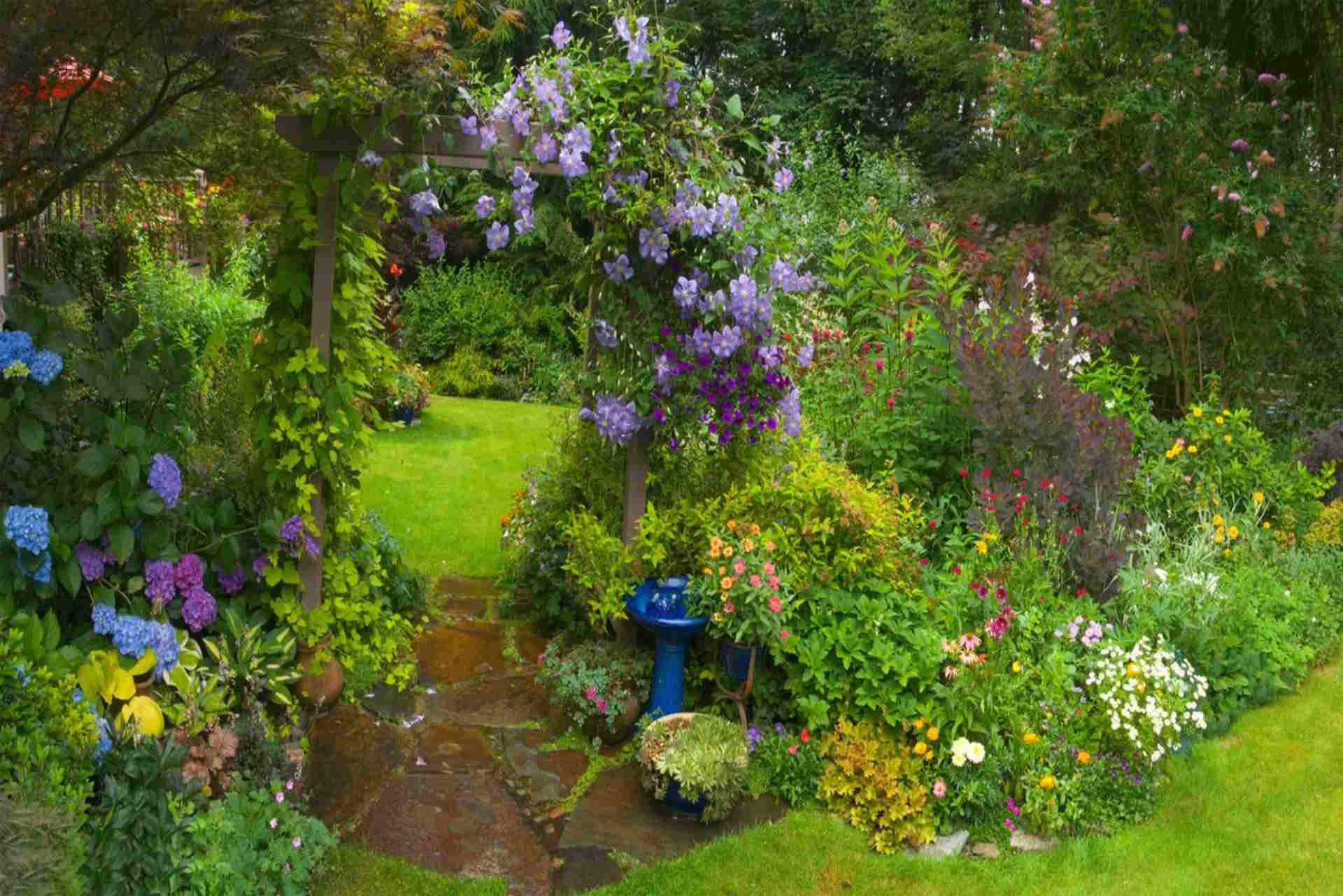 ogród z różnymi kwiatami